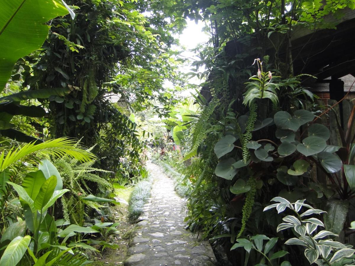Pousada Do Oasis Morretes Ngoại thất bức ảnh