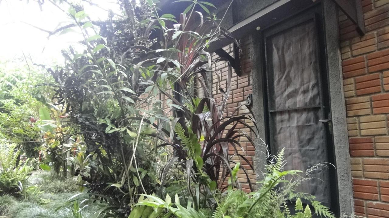 Pousada Do Oasis Morretes Ngoại thất bức ảnh