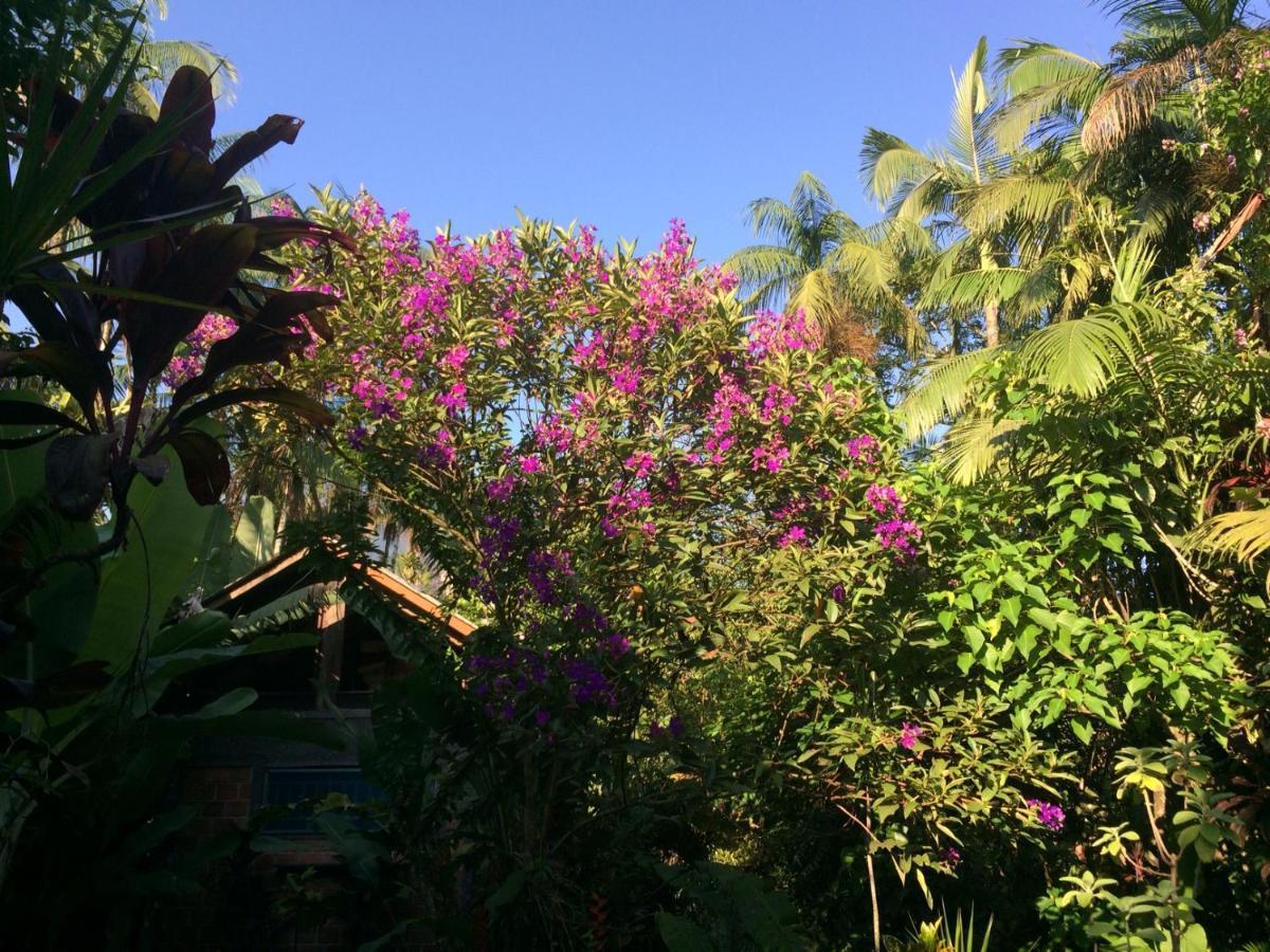 Pousada Do Oasis Morretes Ngoại thất bức ảnh
