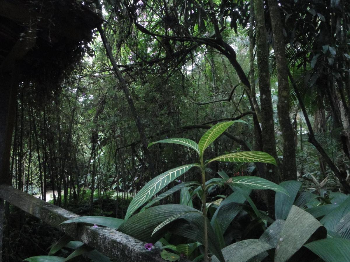 Pousada Do Oasis Morretes Ngoại thất bức ảnh