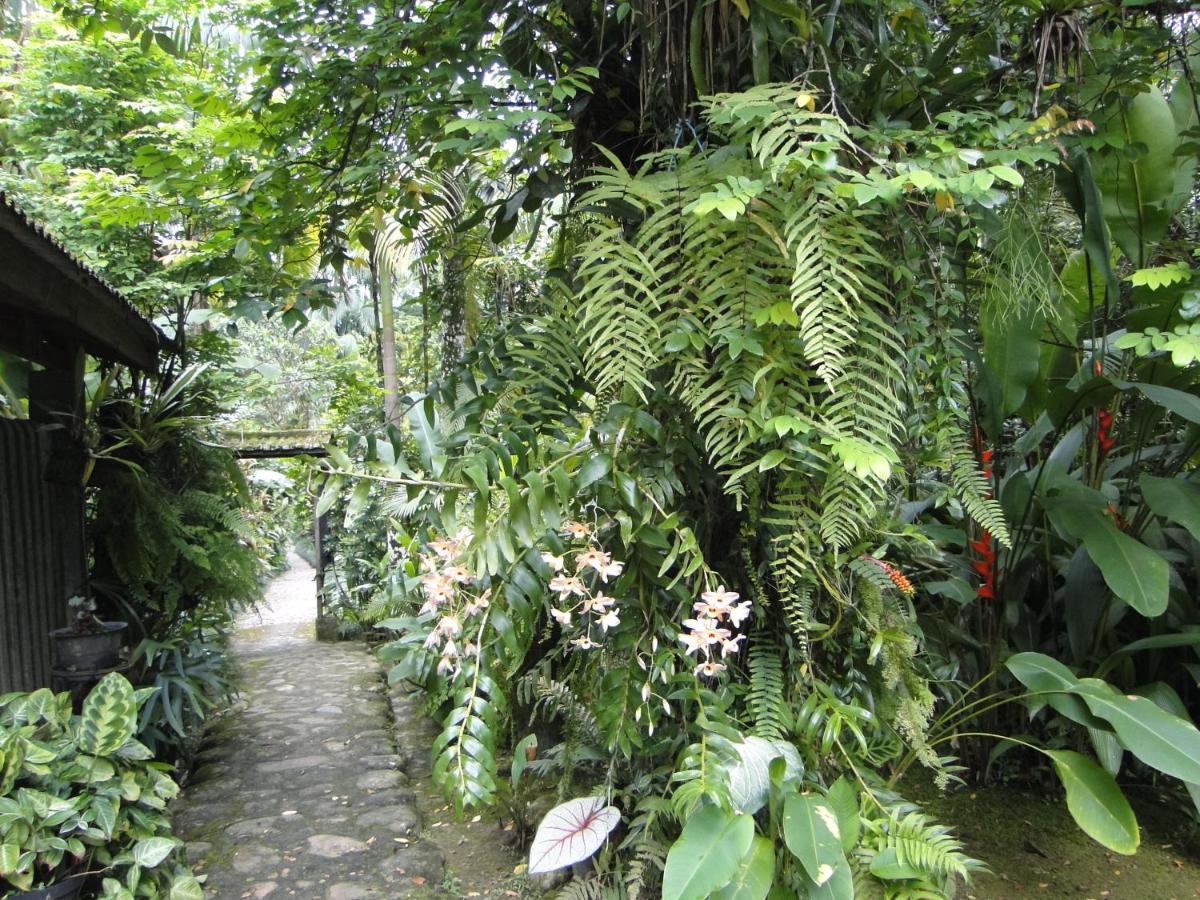 Pousada Do Oasis Morretes Ngoại thất bức ảnh